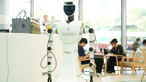 科技赋能法治 信息技术咨询服务引领创新，让发展有“法”更安心