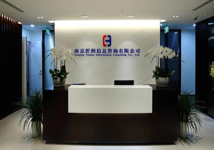 100万元启动资金，经营范围聚焦网络技术与信息技术咨询 一家新公司的战略定位与成长路径